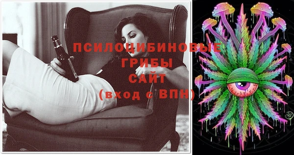 spice Козельск