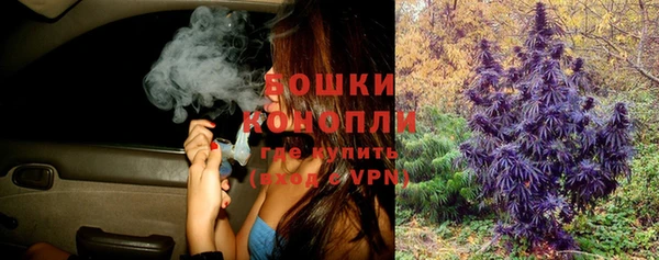 spice Козельск