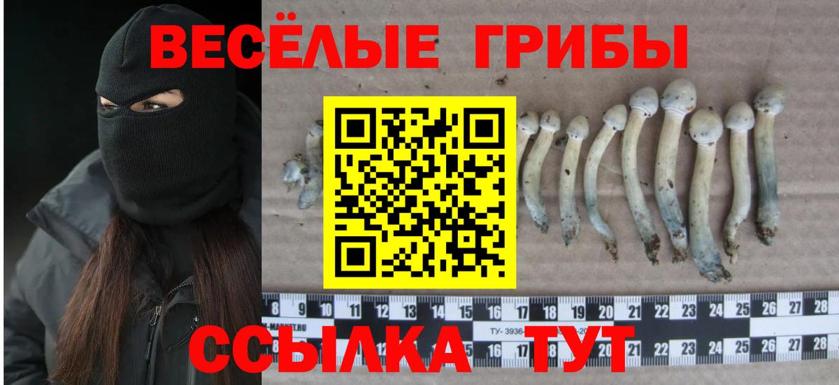 Кисловодск  Псилоцибиновые грибы Magic Shrooms  как найти   Вход с VPN 